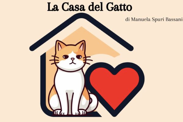La Casa del Gatto – Pensione Casalinga per Gatti
