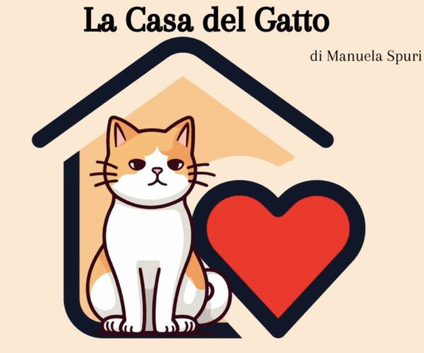 La Casa del Gatto – Pensione Casalinga per Gatti